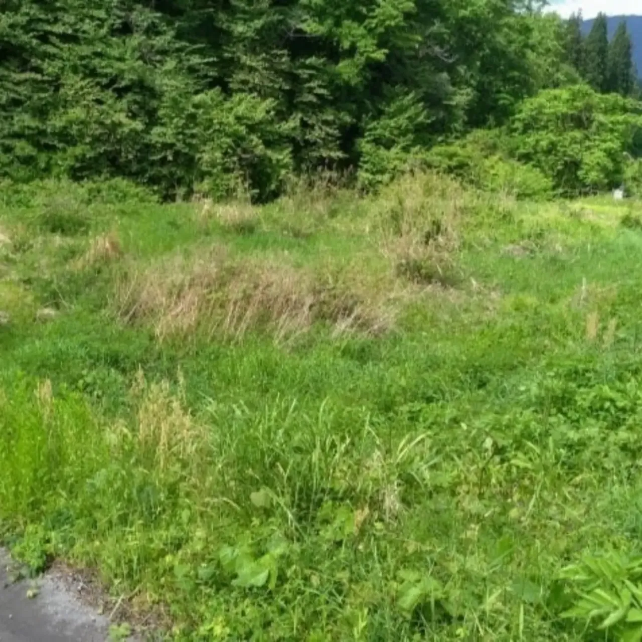 農地の活用をお考えの皆様へ